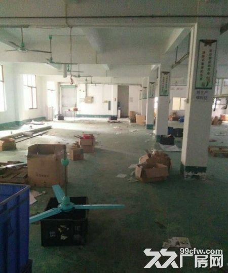 龙岗五联3300平原房东独院厂房出租， 水电齐全-图2