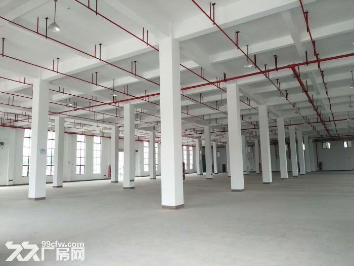 w中南高科 长三角 多个园区 独栋厂房出售 800平起售 独栋三层首层8.1米，-图2