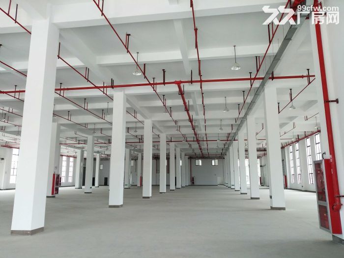 w中南高科 长三角 多个园区 独栋厂房出售 800平起售 独栋三层首层8.1米，-图1