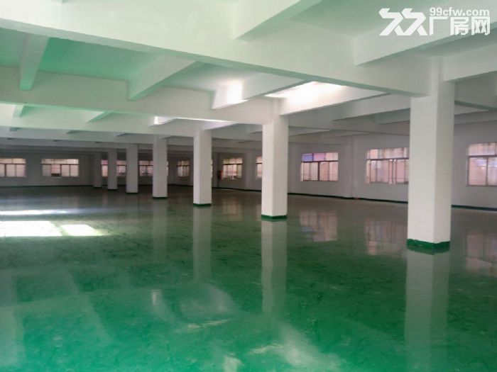 深圳龙岗区1千至3万平方优质房源汇集-图6