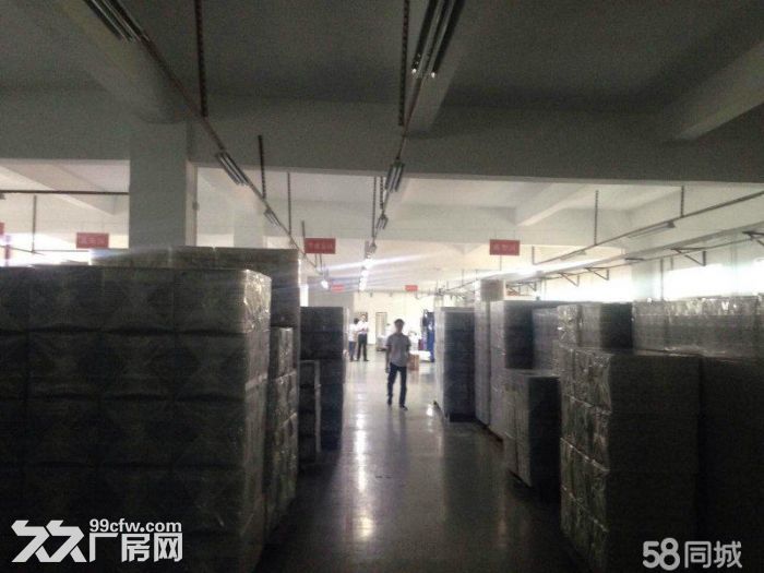 南联爱南路新出独院一楼500平出租-图2