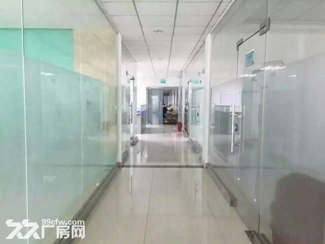 龙岗爱联1500平带豪华装修厂房出租-图5