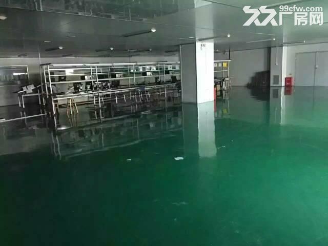 出租福永带豪华装修厂房2000平米-图2