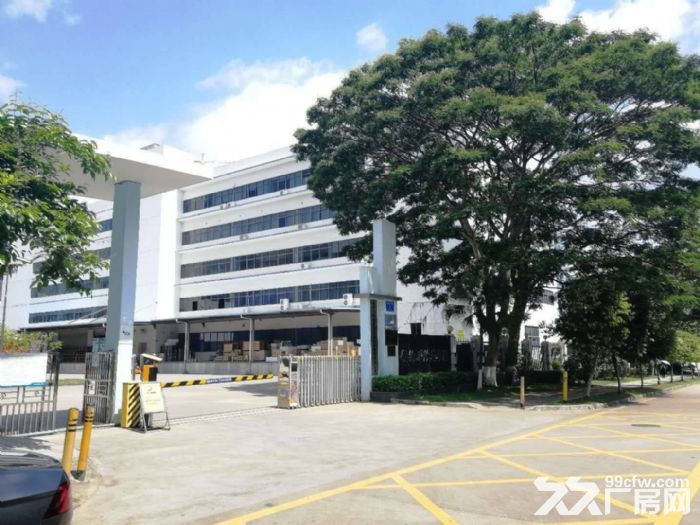 龙岗宝龙2000平红本厂房出租带卸货平台空地大-图4