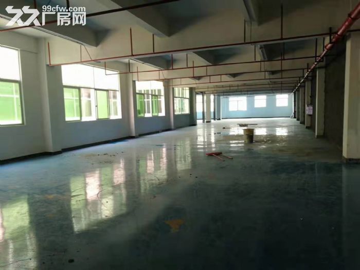 塘厦石鼓(电池厂房)独院厂房出租 现成办公室装修 大小分租 厂门口空地大-图2