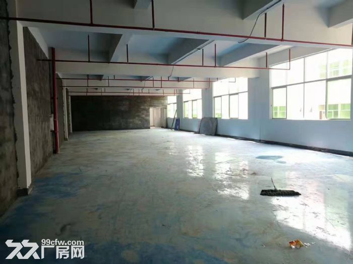 塘厦石鼓(电池厂房)独院厂房出租 现成办公室装修 大小分租 厂门口空地大-图4