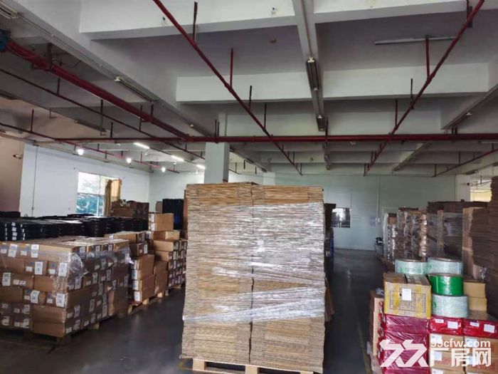 原房东！龙华清湖花半里附近楼上2384平方标准厂房出租-图3