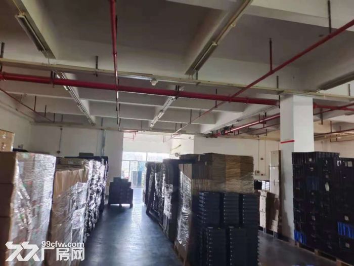 原房东！龙华清湖花半里附近楼上2384平方标准厂房出租-图2