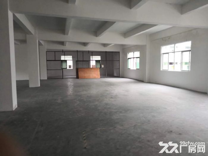 龙岗中心城独门独院厂房12800平出租可分租-图4