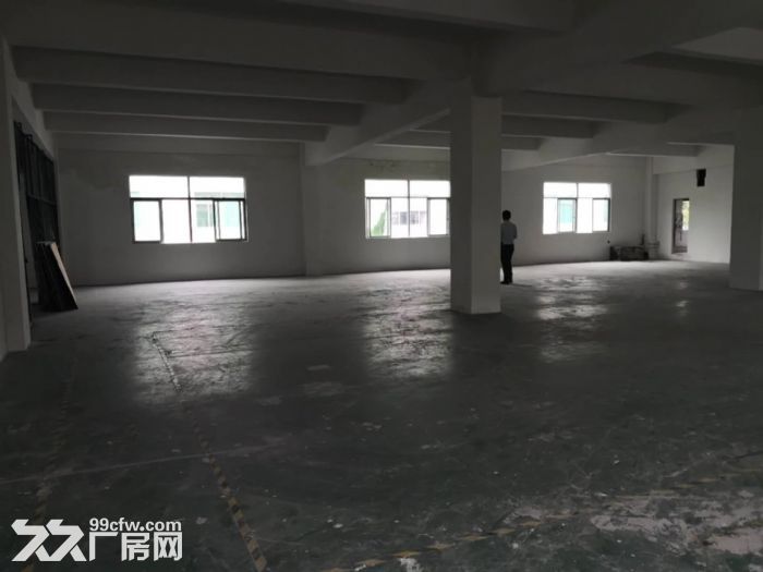 龙岗中心城独门独院厂房12800平出租可分租-图3