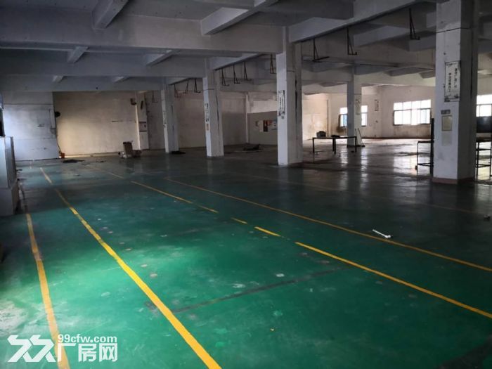 龙岗中心城独门独院厂房12800平出租可分租-图5