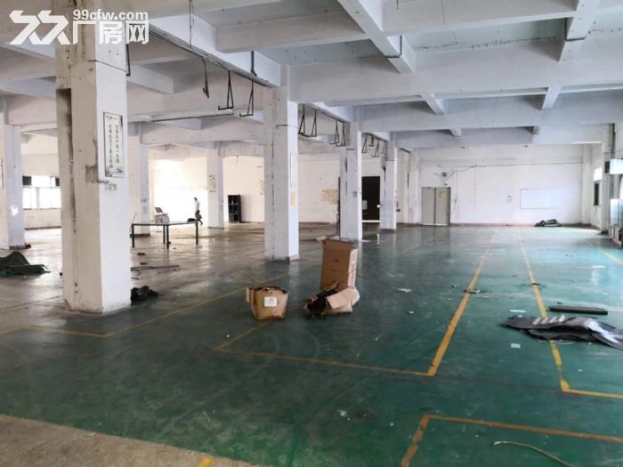 龙岗中心城独门独院厂房12800平出租可分租-图7