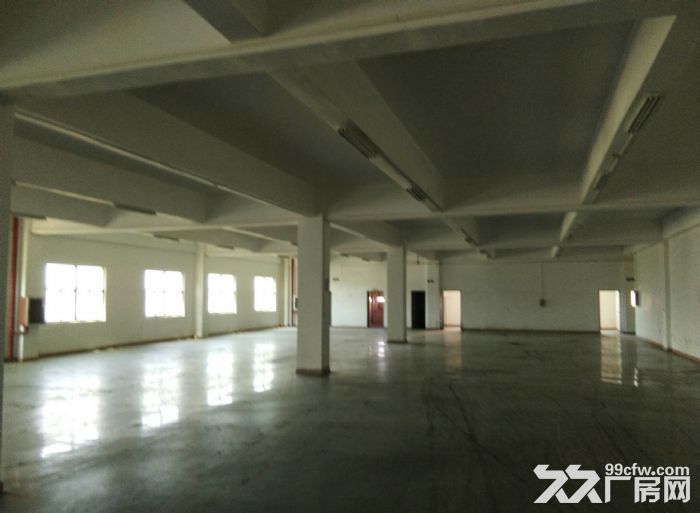 横岗地铁站附近新出独院1一3层厂房4000平米出租-图3