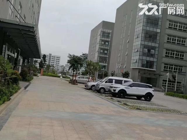 龙岗红本高新产业园15000平厂房出租可分租-图2