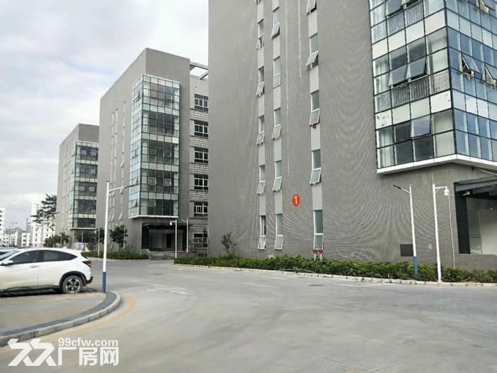 龙岗红本高新产业园15000平厂房出租可分租-图1