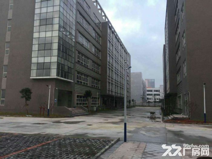 龙岗红本高新产业园15000平厂房出租可分租-图4
