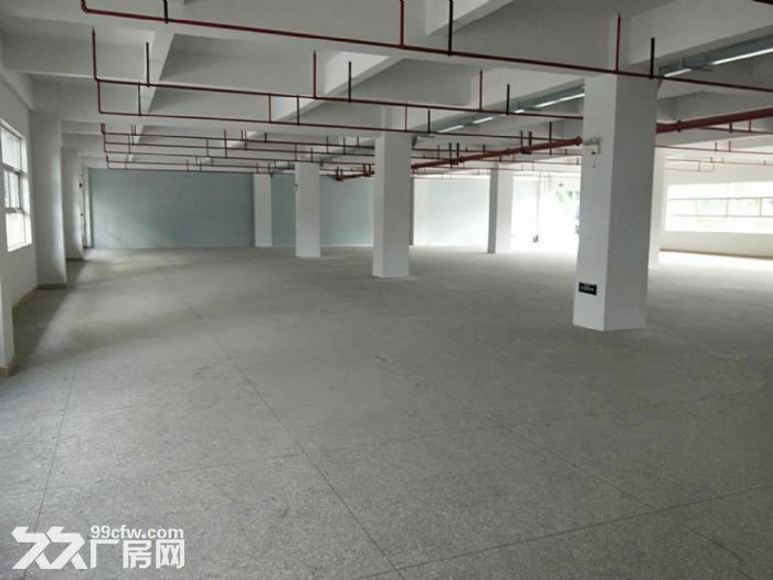 龙岗红本高新产业园15000平厂房出租可分租-图7