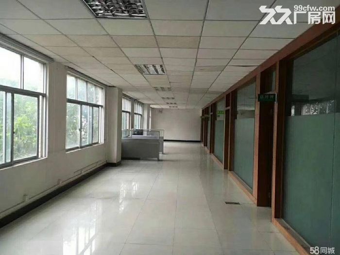 龙岗南联地铁口新出楼上带装修厂房出租2600平米-图6