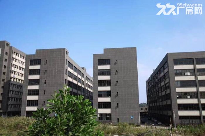 龙岗宝龙整层5000平方带地坪漆水电齐全带红本-图2