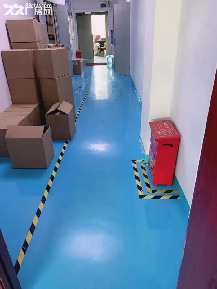 龙华罗屋围工业区新出楼上300平精装小厂房出租-图3