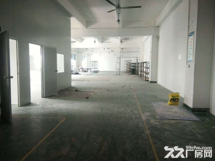 龙岗龙东新出独院4100平厂房出租外观全新，可分租-图3
