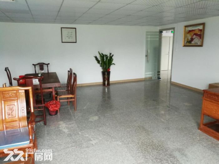 龙岗龙东新出独院4100平厂房出租外观全新，可分租-图5