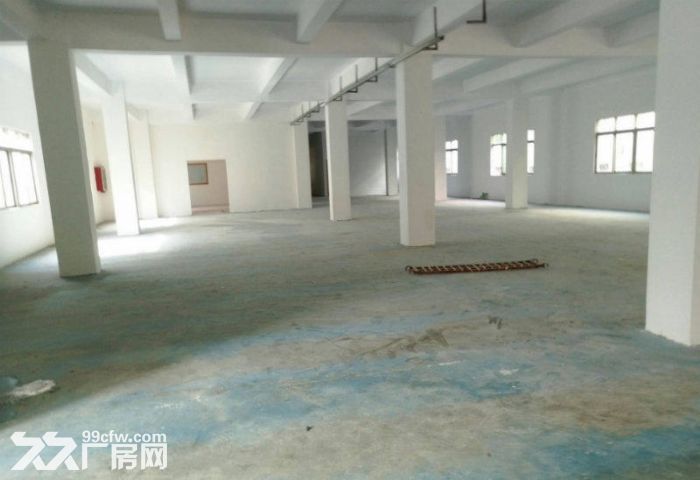 龙岗爱联新出960平米现成办公室车间仓库-图4