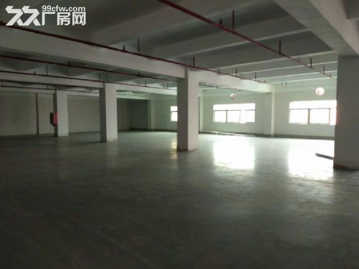 带地坪漆消防喷淋！布吉甘坑新出原房东2080平厂房-图1