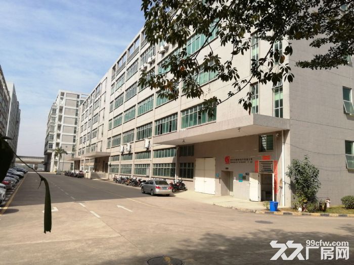 光明区地铁口红本大型花园式工业园厂房招租分租-图6