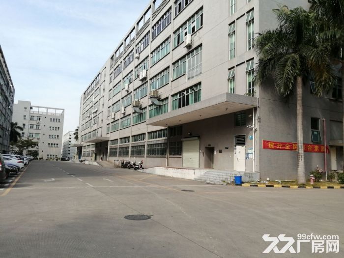 光明区地铁口红本大型花园式工业园厂房招租分租-图7