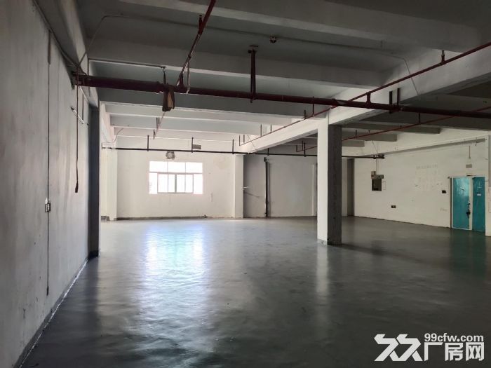 龙岗区南湾上李朗工业区概念空间厂房720平带装修厂房仓库出租-图3