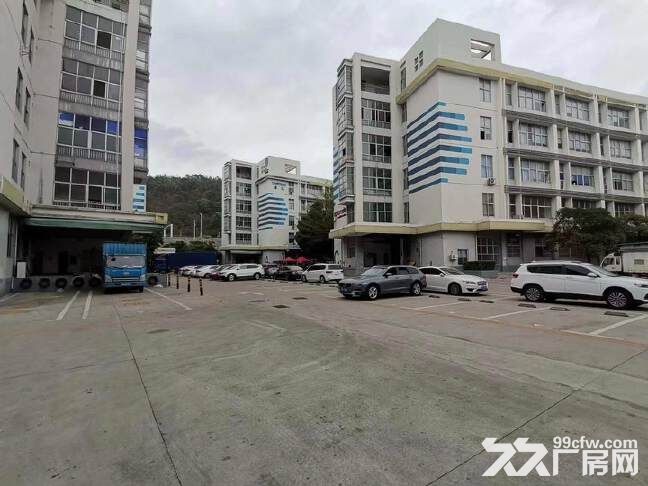 横岗新出原房东大型工业园楼上整层1900平厂房厂房出租-图2