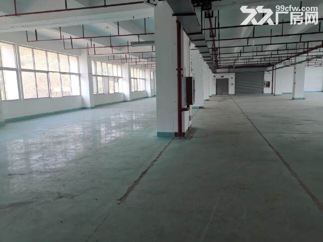 横岗新出原房东大型工业园楼上整层1900平厂房厂房出租-图4