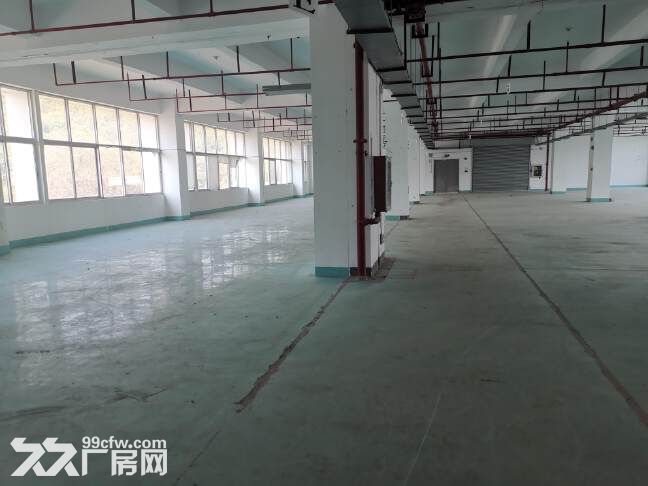 横岗新出原房东大型工业园楼上整层1900平厂房厂房出租-图3