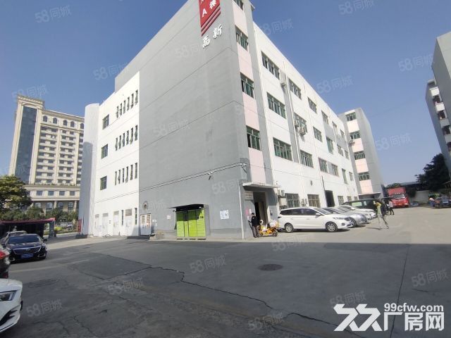 龙岗工业区厂房200平400平600平米出租-图1