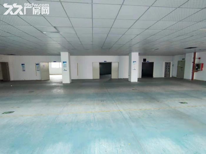 龙华区大浪商业街新出900平精装修厂房-图1