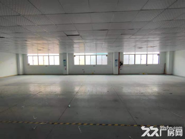 龙华区大浪商业街新出900平精装修厂房-图2