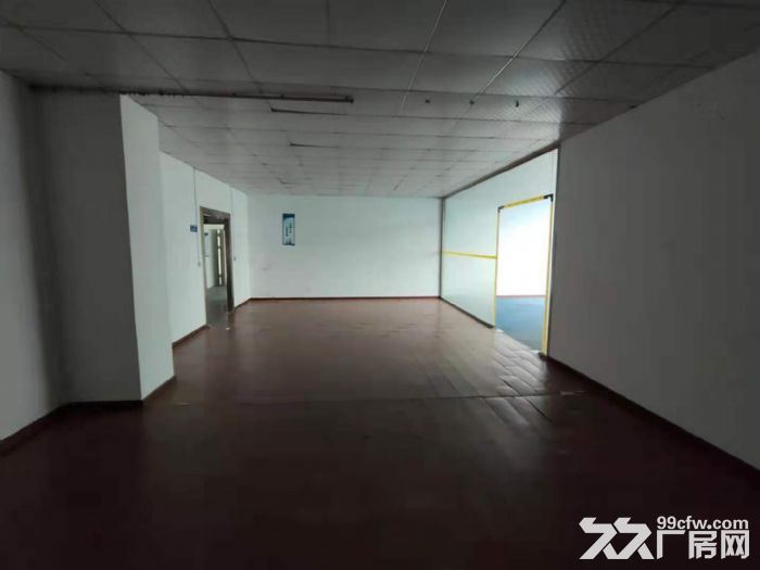 龙华区大浪商业街新出900平精装修厂房-图3