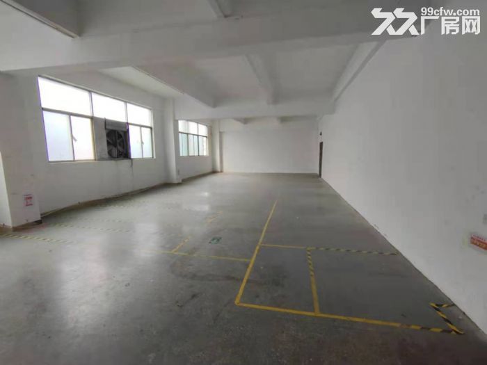 龙华区大浪商业街新出900平精装修厂房-图5