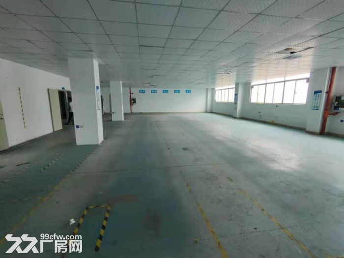 龙华区大浪商业街新出900平精装修厂房-图4
