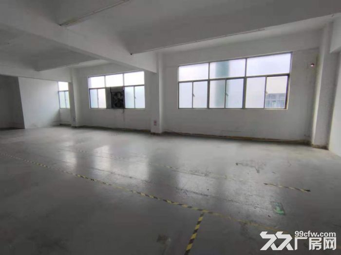 龙华区大浪商业街新出900平精装修厂房-图6