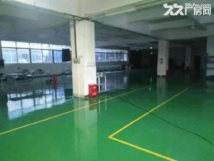 坪山三洋湖新出800平带红本现成装修免转让费-图2