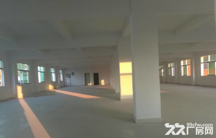全新厂房独门独院3880平方招租-图5