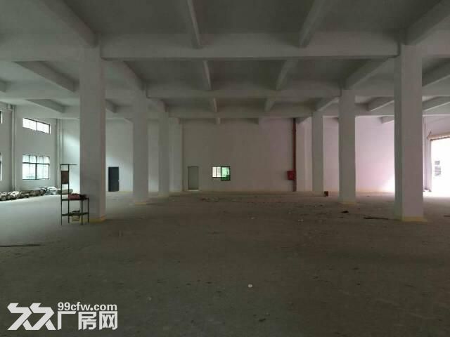 龙岗新生新出精品小独院3600平17块出租-图2