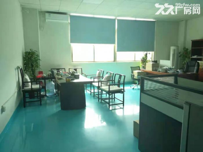 龙华大浪精装330平标准厂房出租-图1