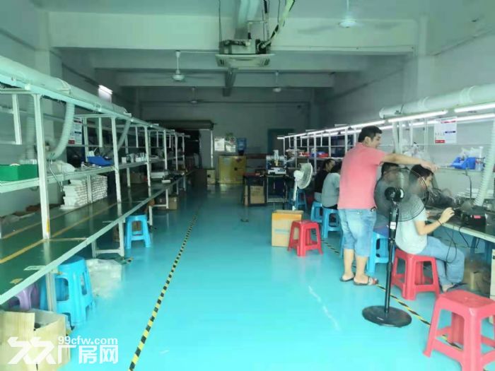 龙华大浪精装330平标准厂房出租-图2