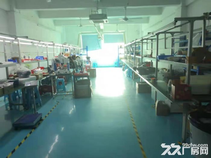 龙华大浪精装330平标准厂房出租-图4