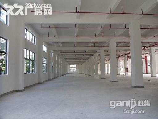 龙岗 新生 一楼厂房精装700m²-图2