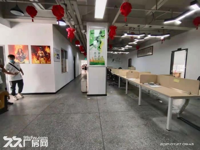 龙华油松一楼680平办公厂房出租-图3