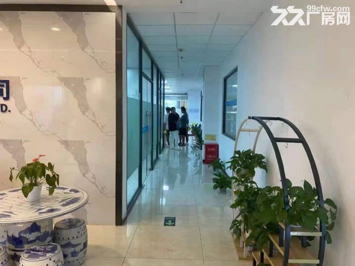 原房东！贴片无尘车间！！龙华清湖大型园区4700平厂房出租-图2